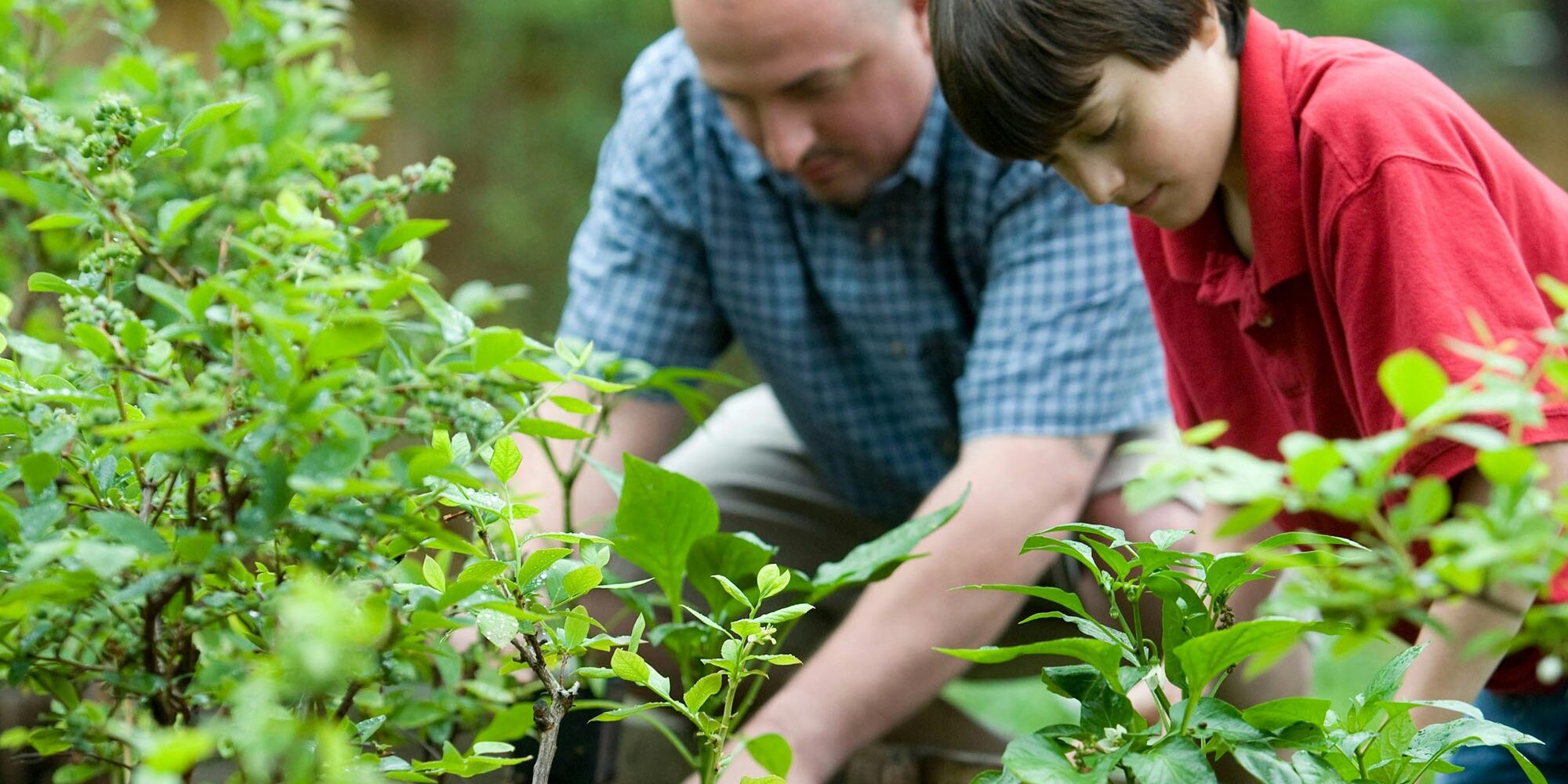 A man and boy gardening