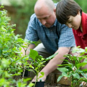 A man and boy gardening